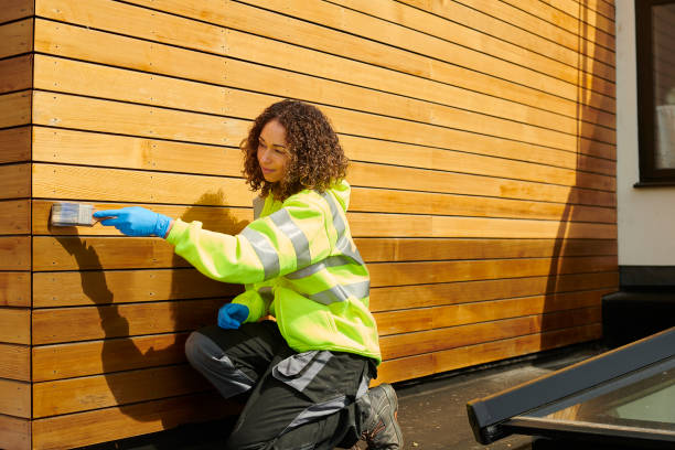 Best Custom Trim and Detailing for Siding  in Chino Valley, AZ
